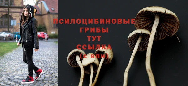 ALPHA-PVP Абинск