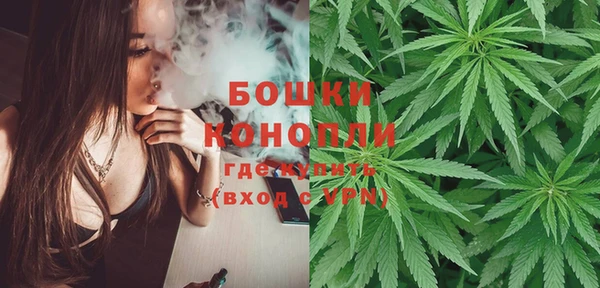 мет Алексин