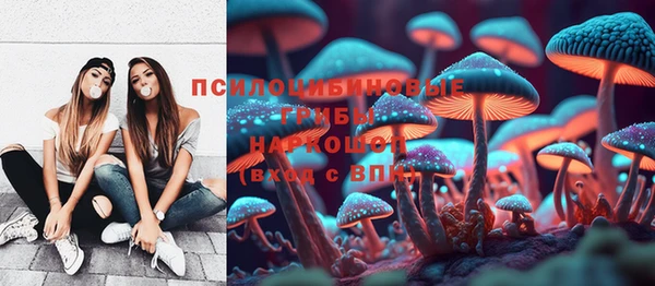 гашик Абаза