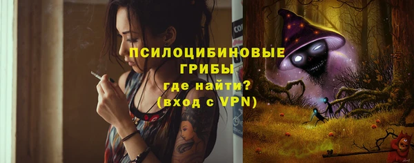 мет Алексин