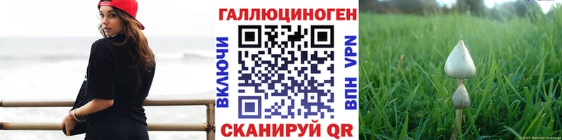 Псилоцибиновые грибы ЛСД  Дубовка 