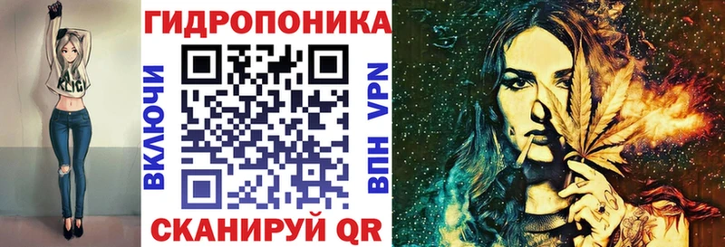 где можно купить   Дубовка  Канабис VHQ 
